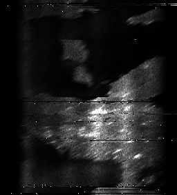 ascat_grayscale_ch5.png